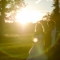 Weddings

